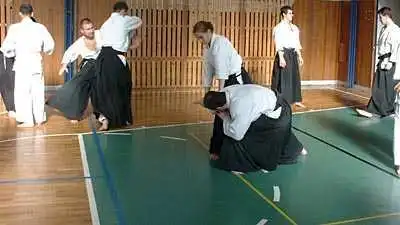 Aikido — Zlin 2000