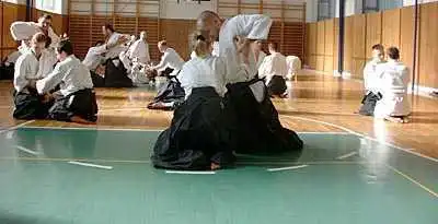 Aikido — Zlin 2000