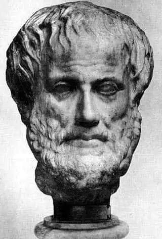 Aristotle Biography  Works  SchoolWorkHelper