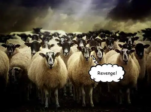 Sheep mute meme.