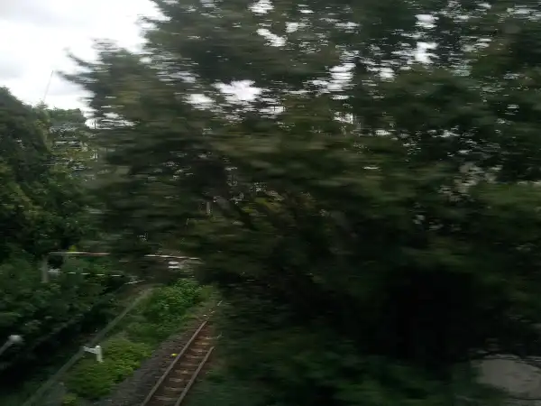 Tokyo Train Ride. Photo by Stefan Stenudd.