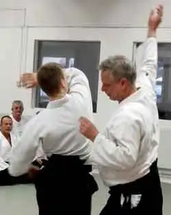 Aikido - Stefan Stenudd.
