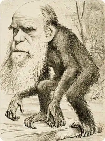 Editorial cartoon from The Hornet of Charles Darwin as an ape, 1871.