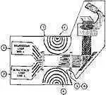 Somatoscope